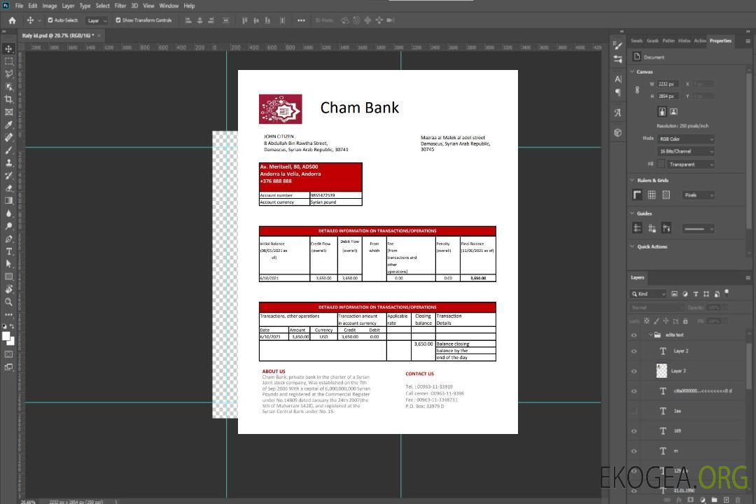 Syrie Cham Bank excel pdf template